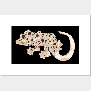 Dalmatian Crested Gecko Posters and Art